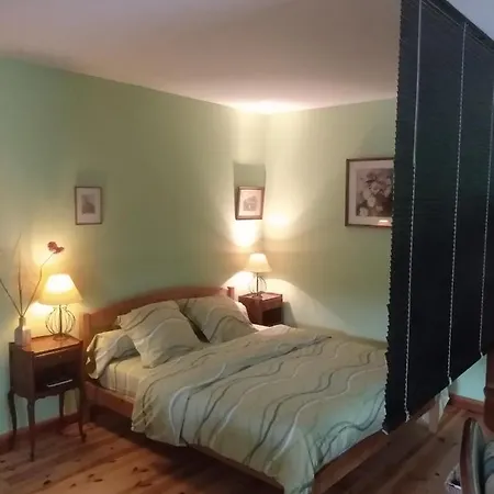 Studio 45M2, A La Campagne, A 15 Mns Du Puy En Velay Lantriac Buitenkant foto